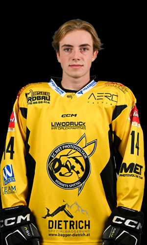 Florian Stele 14